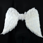 Halloween Accessories Angel Feather Wings for Adults (Size 68x55 Cms) - Willow